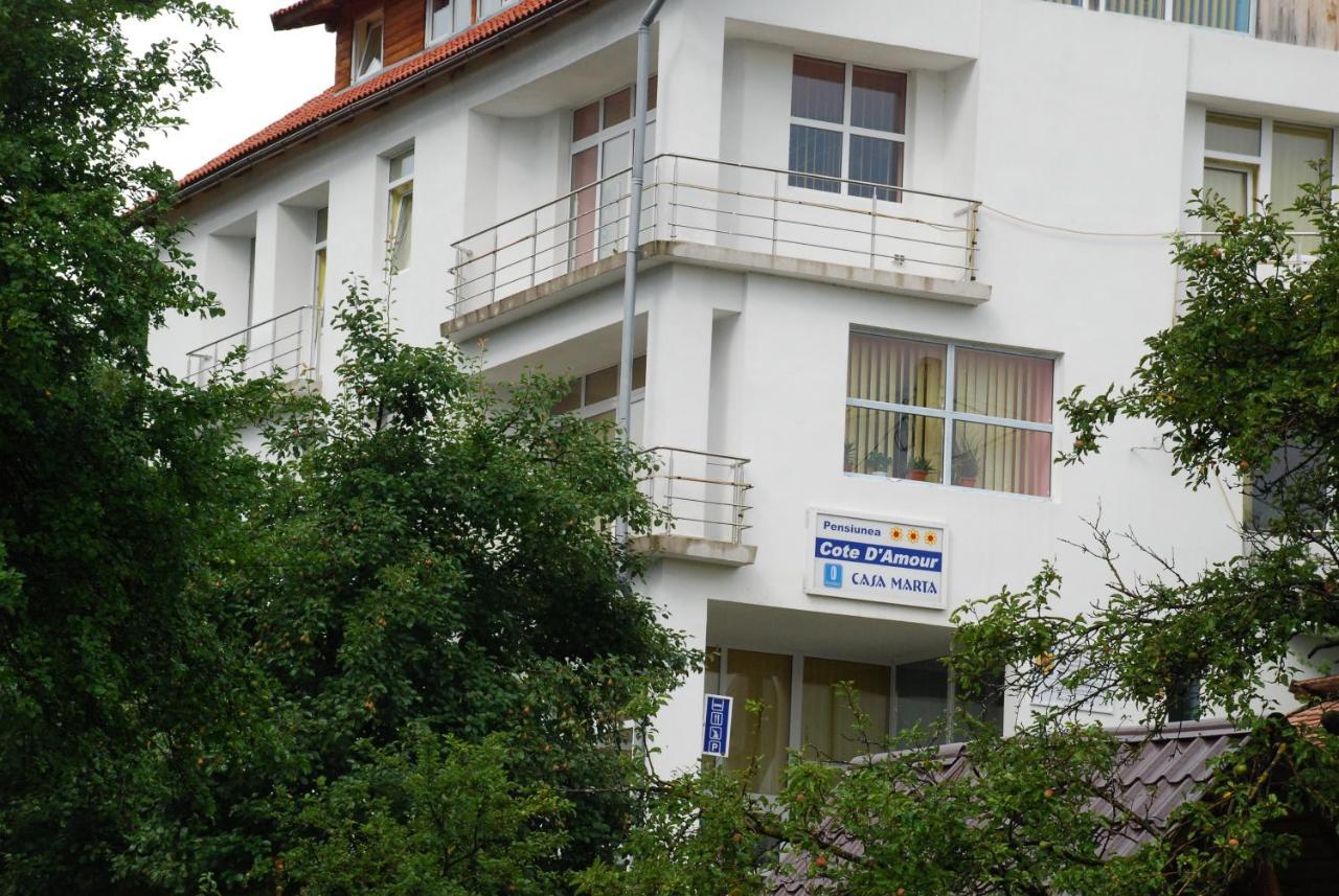 Pension Cote D'Amour Moieciu de Jos Εξωτερικό φωτογραφία